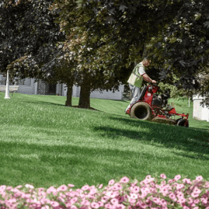 Ferris spring into savings